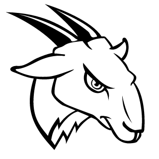 WirekT's emblem