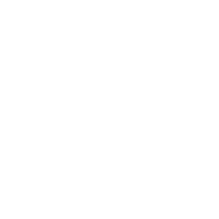 NaGiBaTor_1900's emblem
