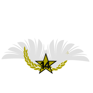 failmanfr's emblem