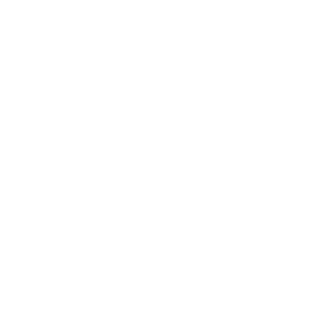 Halftime_Raven's emblem