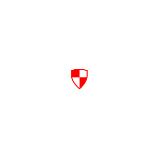 XMegatonixX's emblem