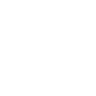 iPhowne's emblem