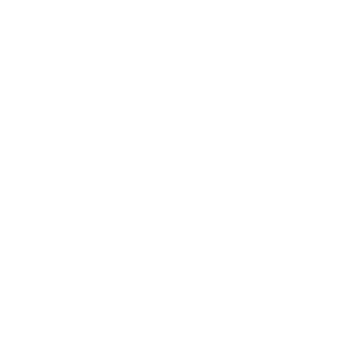 ViciousDildo's emblem
