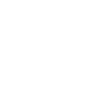 STAR-PER_TARGET's emblem