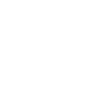 BlomegaKnight's emblem