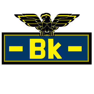 Noobs and Dudes's emblem