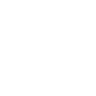 HUDiBrazz's emblem