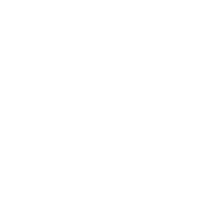 SKYRO 25's emblem