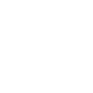 anasthetik_8989's emblem