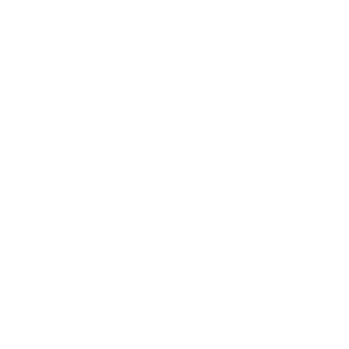 JZifikation's emblem