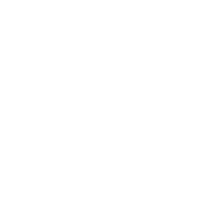 SGTeTo's emblem