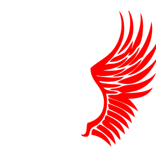 DanioKabanio's emblem