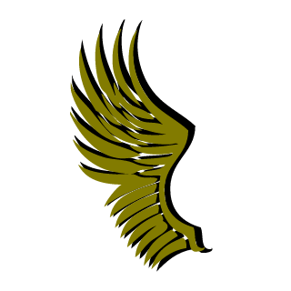nvYou's emblem