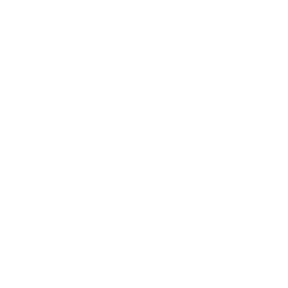 N1cr0n's emblem