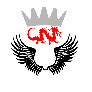 93Ninja93's emblem