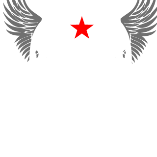 Spoko_KolesXD's emblem