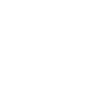 epicgamer1331's emblem