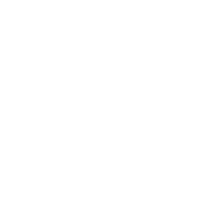 tmg minecraftia's emblem