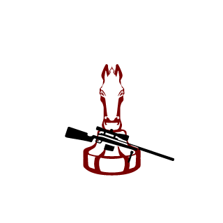 SeTheNick's emblem