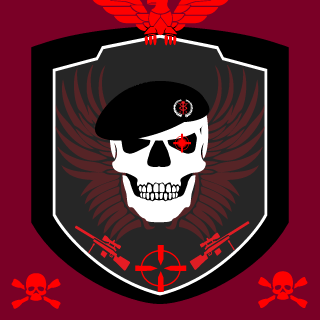 n4nsTM's emblem