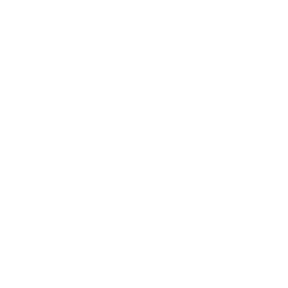 Petrassl-LT's emblem