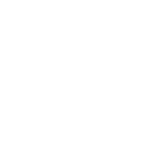 santa_2's emblem