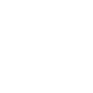 -NaCl_69-'s emblem