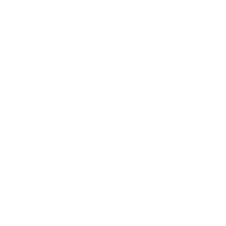 PaVlu2ha's emblem