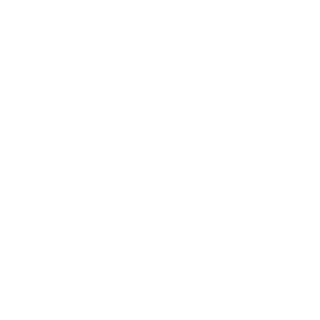 RivotrilziN's emblem