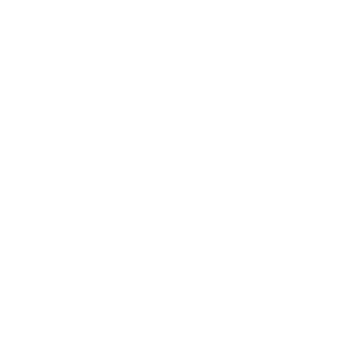 Mc_Biker's emblem