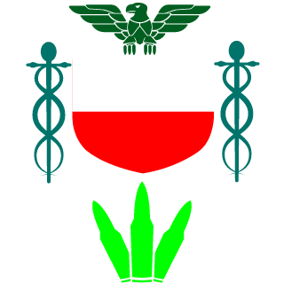IceKKL's emblem