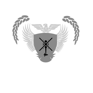 SmasHmeDK's emblem
