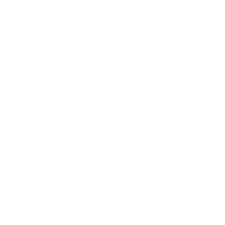 Danyacyclone666's emblem