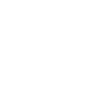 FxAcidrain's emblem