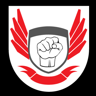GAM3R_CONTROL3R's emblem