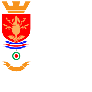 P4R4M3D1UM's emblem