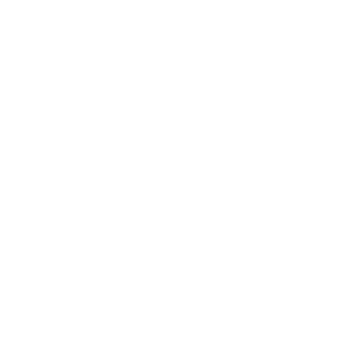 s4l_119's emblem