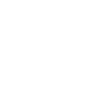 Codname_Sokol's emblem
