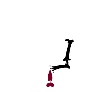 TrueDirtyBas's emblem
