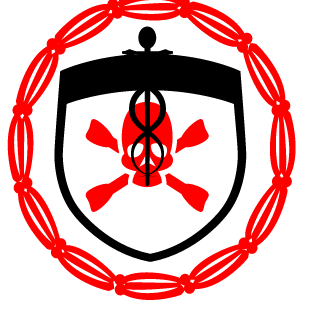 ToMuchBIT4sasson's emblem
