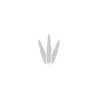 Red_Narcissus's emblem