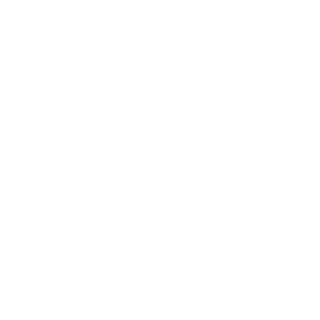 BangsMcC0y's emblem