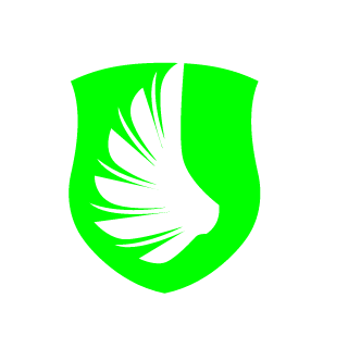 Liangyuning1993's emblem