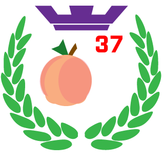 eykisblue's emblem