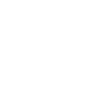 960Knight's emblem