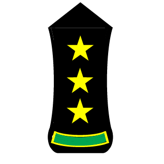 sylvan_look70's emblem