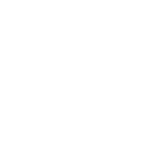 Duarte_Plays's emblem
