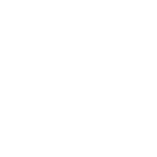 0055dce095a28fe7's emblem