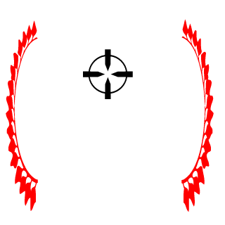 DeathmatchGull's emblem
