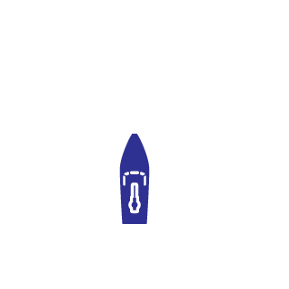 US  Army's emblem